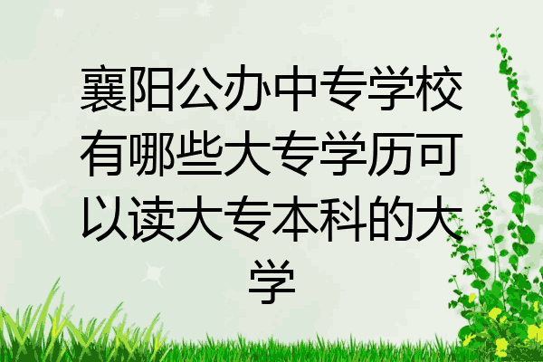 襄阳公办中专学校有哪些大专学历可以读大专本科的大学