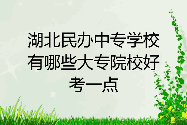 湖北民办中专学校有哪些大专院校好考一点