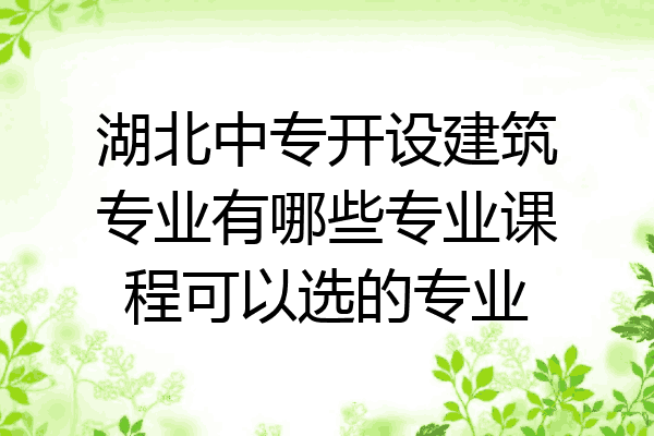 湖北中专开设建筑专业有哪些专业课程可以选的专业
