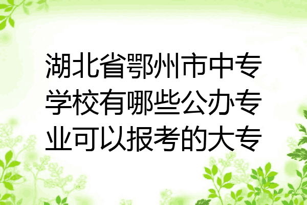 湖北省鄂州市中专学校有哪些公办专业可以报考的大专