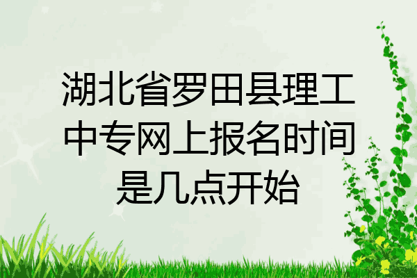 湖北省罗田县理工中专网上报名时间是几点开始