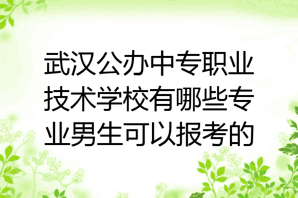 武汉公办中专职业技术学校有哪些专业男生可以报考的