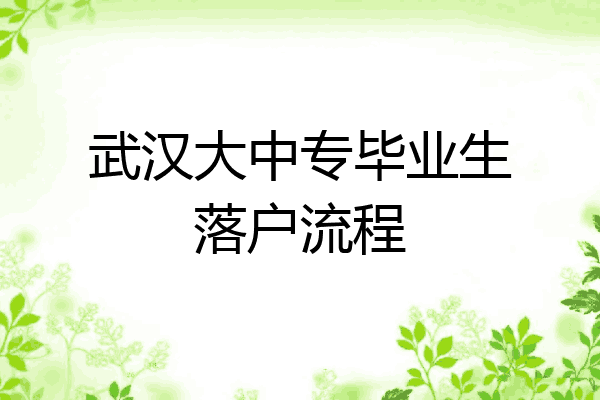 武汉大中专毕业生落户流程