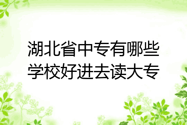 湖北省中专有哪些学校好进去读大专