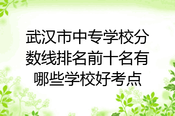 武汉市中专学校分数线排名前十名有哪些学校好考点