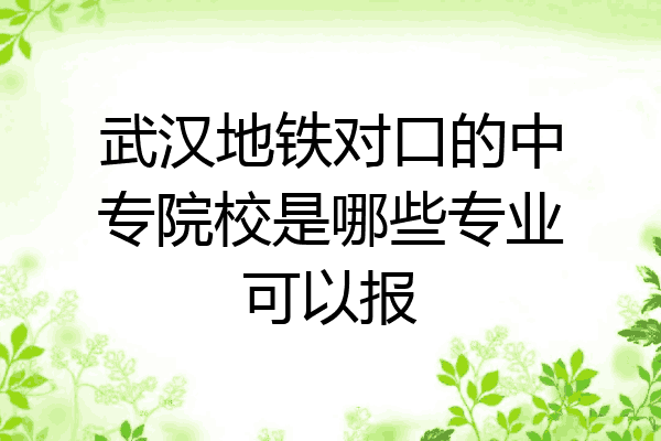 武汉地铁对口的中专院校是哪些专业可以报