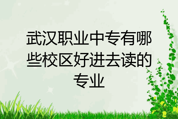 武汉职业中专有哪些校区好进去读的专业