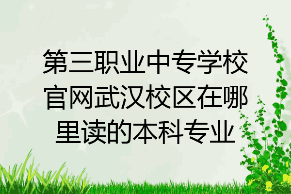 第三职业中专学校官网武汉校区在哪里读的本科专业