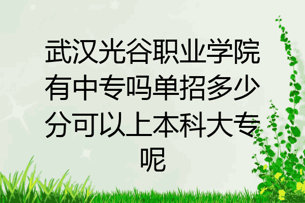 武汉光谷职业学院有中专吗单招多少分可以上本科大专呢