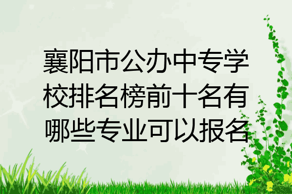 襄阳市公办中专学校排名榜前十名有哪些专业可以报名