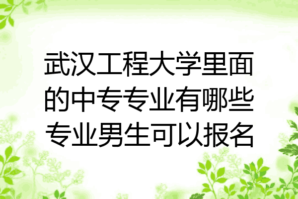 武汉工程大学里面的中专专业有哪些专业男生可以报名