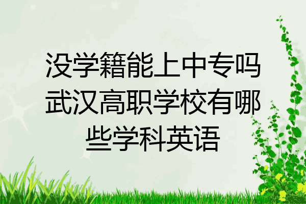 没学籍能上中专吗武汉高职学校有哪些学科英语