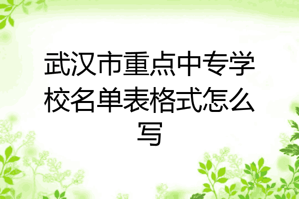 武汉市重点中专学校名单表格式怎么写