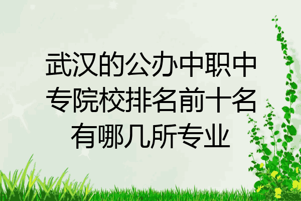 武汉的公办中职中专院校排名前十名有哪几所专业