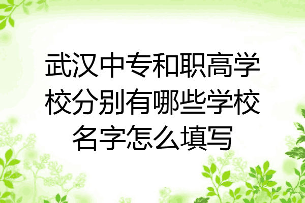 武汉中专和职高学校分别有哪些学校名字怎么填写