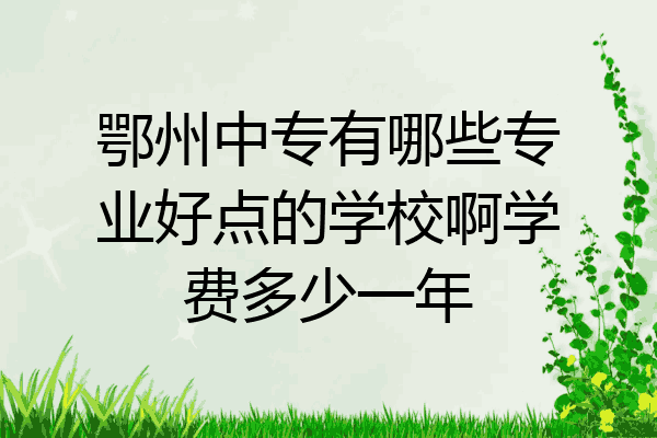 鄂州中专有哪些专业好点的学校啊学费多少一年