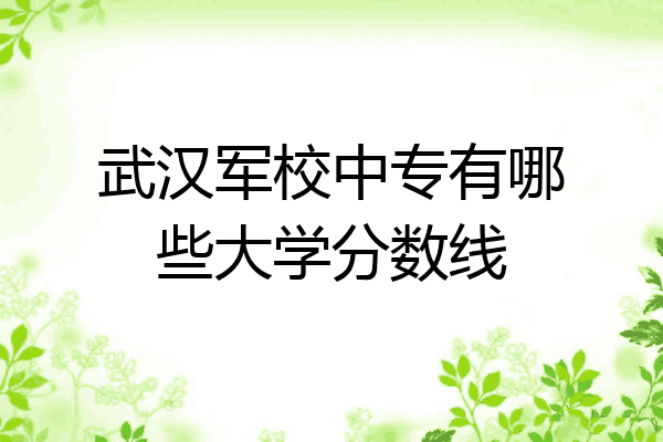 武汉军校中专有哪些大学分数线