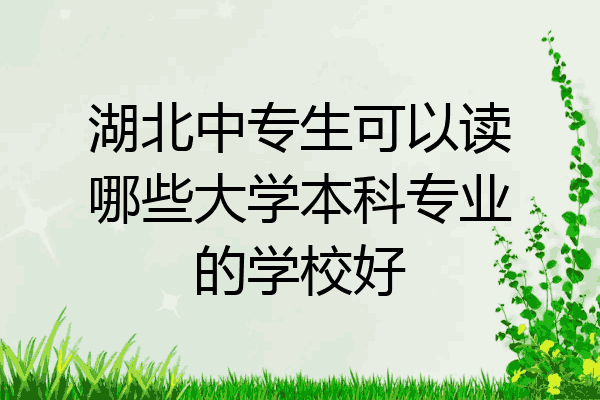 湖北中专生可以读哪些大学本科专业的学校好