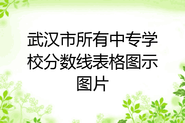 武汉市所有中专学校分数线表格图示图片