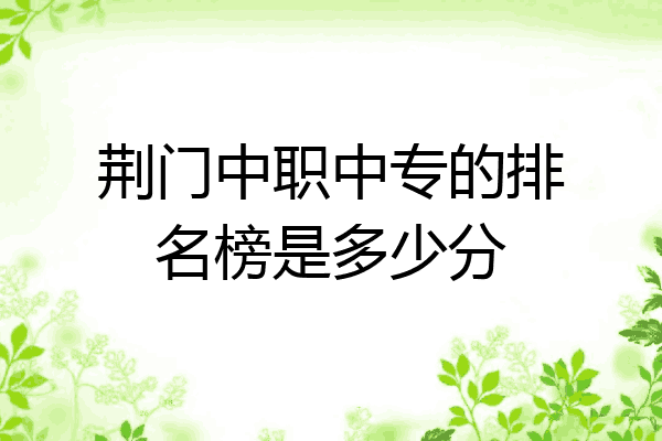 荆门中职中专的排名榜是多少分