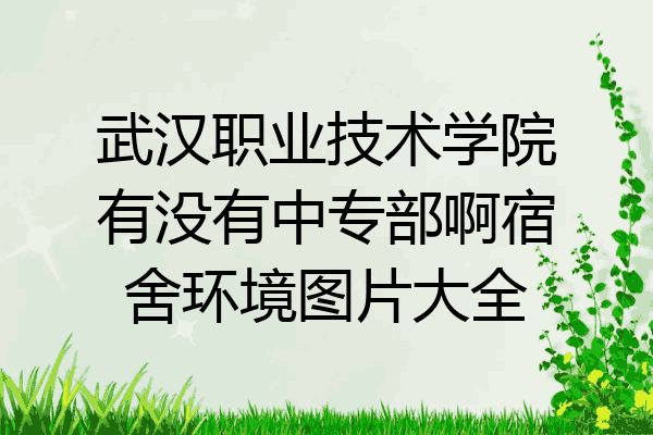 武汉职业技术学院有没有中专部啊宿舍环境图片大全