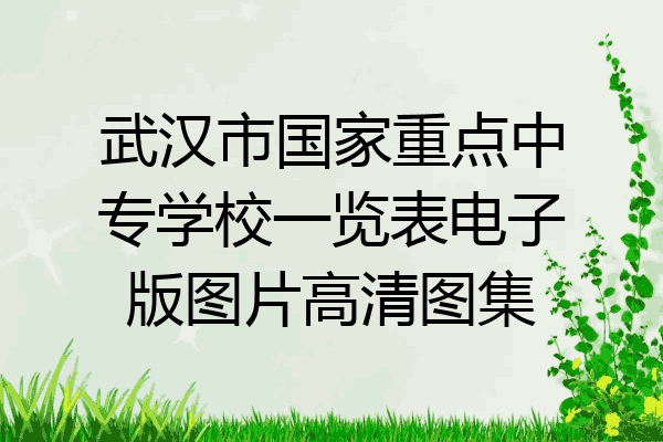 武汉市国家重点中专学校一览表电子版图片高清图集