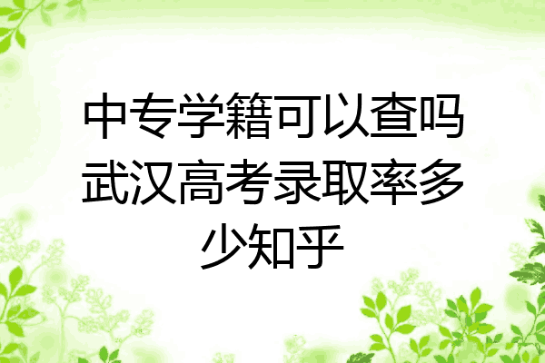 中专学籍可以查吗武汉高考录取率多少知乎