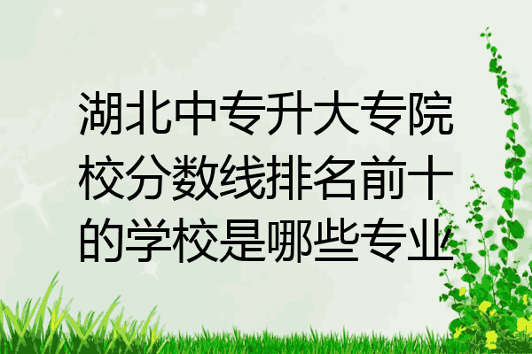 湖北中专升大专院校分数线排名前十的学校是哪些专业