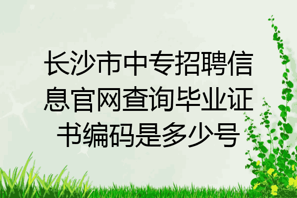 长沙市中专招聘信息官网查询毕业证书编码是多少号