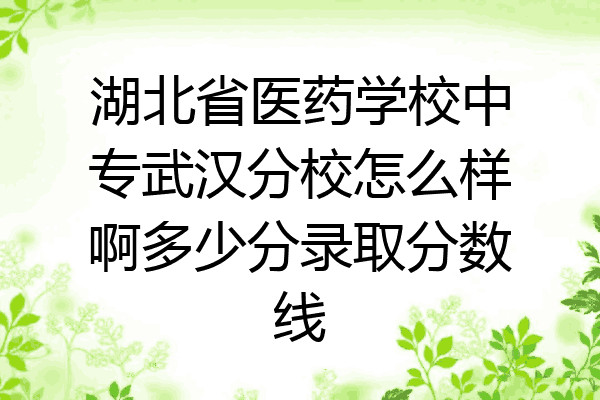 湖北省医药学校中专武汉分校怎么样啊多少分录取分数线