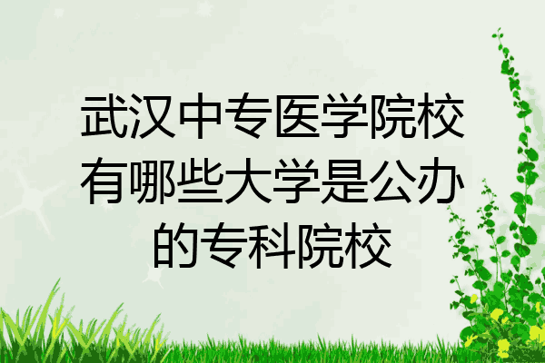 武汉中专医学院校有哪些大学是公办的专科院校