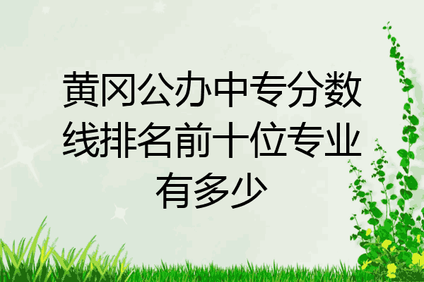 黄冈公办中专分数线排名前十位专业有多少