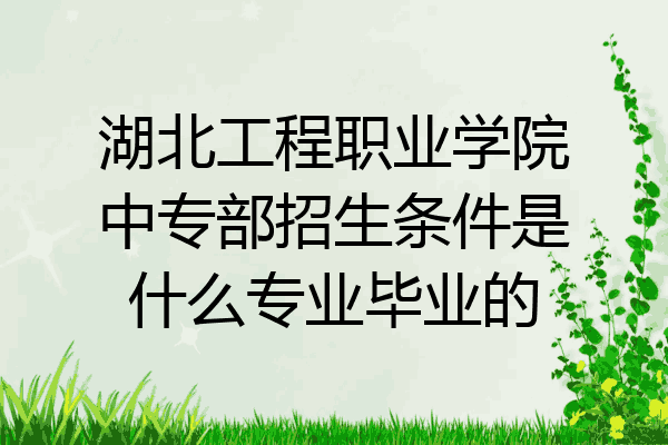 湖北工程职业学院中专部招生条件是什么专业毕业的