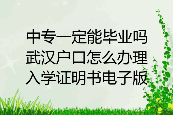 中专一定能毕业吗武汉户口怎么办理入学证明书电子版
