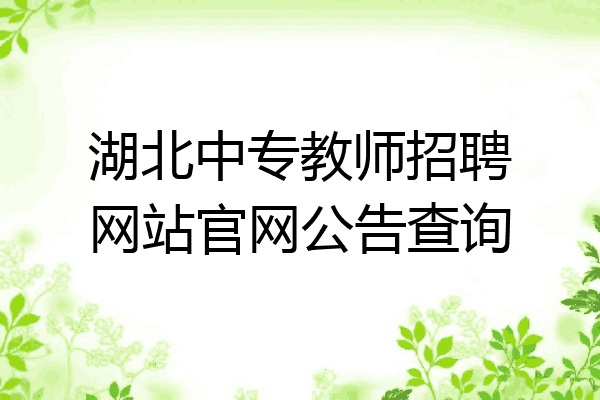 湖北中专教师招聘网站官网公告查询
