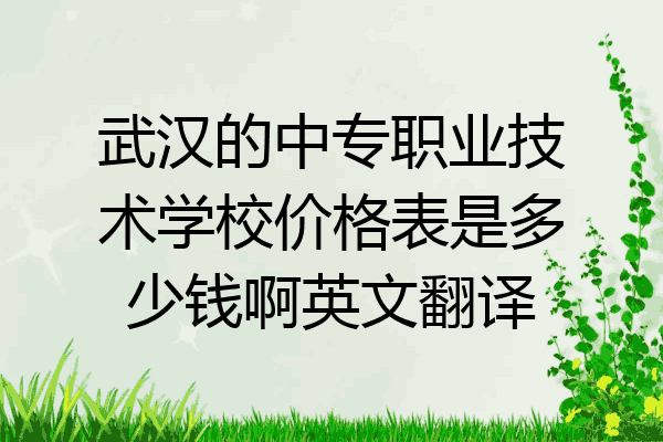 武汉的中专职业技术学校价格表是多少钱啊英文翻译