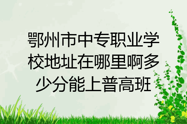 鄂州市中专职业学校地址在哪里啊多少分能上普高班