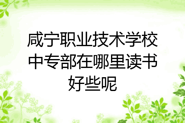 咸宁职业技术学校中专部在哪里读书好些呢