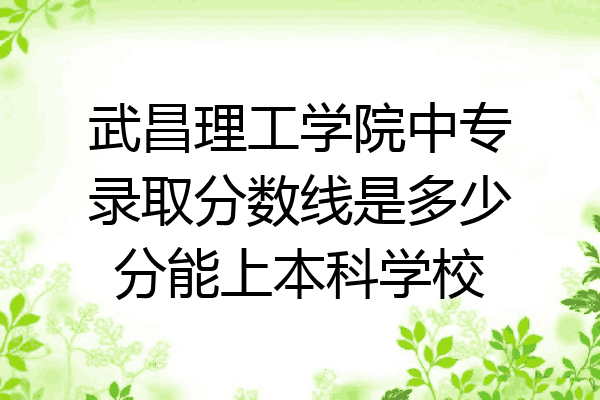 武昌理工学院中专录取分数线是多少分能上本科学校