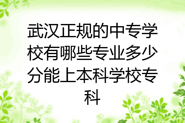 武汉正规的中专学校有哪些专业多少分能上本科学校专科