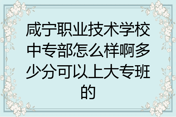 咸宁职业技术学校中专部怎么样啊多少分可以上大专班的