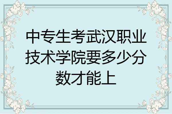中专生考武汉职业技术学院要多少分数才能上