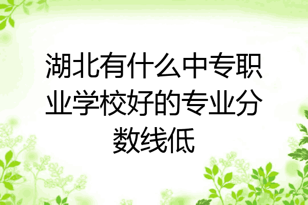 湖北有什么中专职业学校好的专业分数线低
