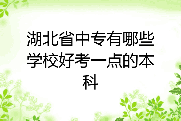 湖北省中专有哪些学校好考一点的本科