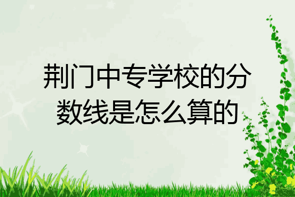 荆门中专学校的分数线是怎么算的
