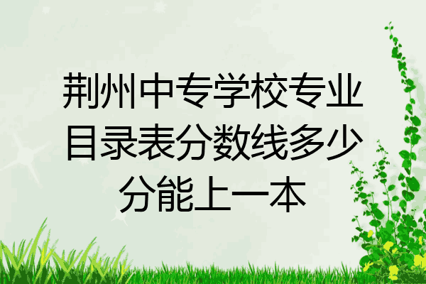 荆州中专学校专业目录表分数线多少分能上一本
