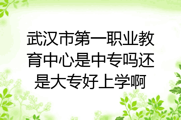 武汉市第一职业教育中心是中专吗还是大专好上学啊