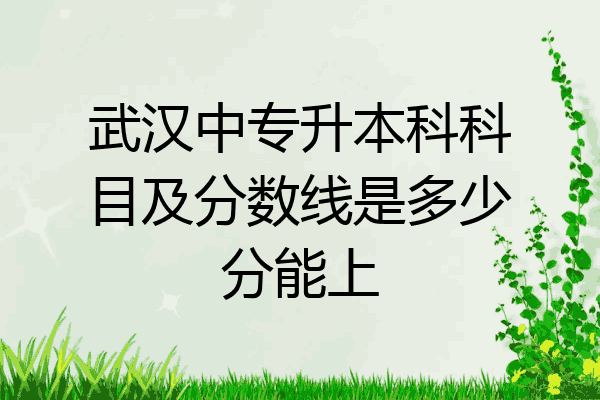 武汉中专升本科科目及分数线是多少分能上