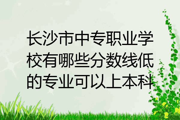 长沙市中专职业学校有哪些分数线低的专业可以上本科