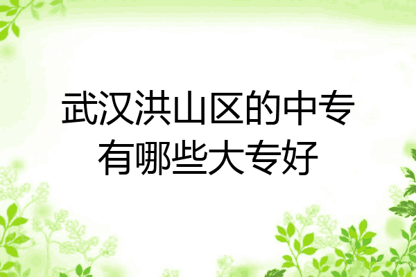 武汉洪山区的中专有哪些大专好